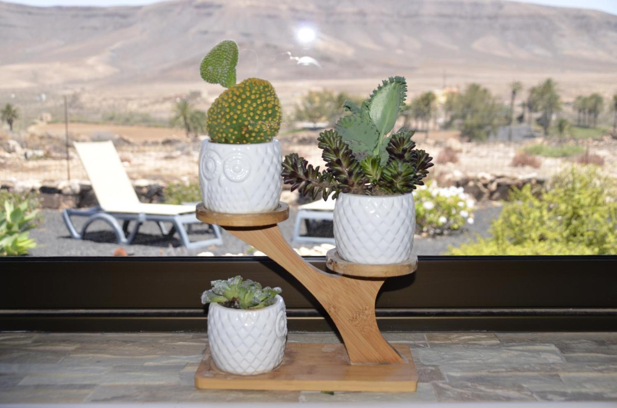 Villa Casa Vista Oasis En Fuerteventura à La Guirra Extérieur photo